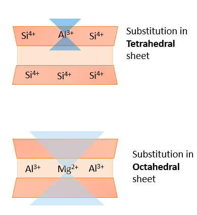 In the tetrahedral sheet, the normal +4 charge Si is replaced with an aluminum with a +3 charge instead. In the octahedral sheet, a Mg with +2 charge is used instead of an aluminum with a +3 charge. Both of these result in charge because the charge used is less than expected, resulting in net negative charge.