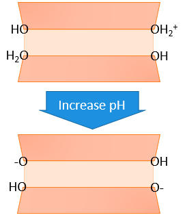 As pH increases, oxygens at phyllosilicate edges donate H<sup>+</sup> to solution, resulting in a more negative charge. This is shown in this diagram as there appear to be "missing" hydrogens as the pH increases. They are in the soil solution instead of on the edges of the clays.