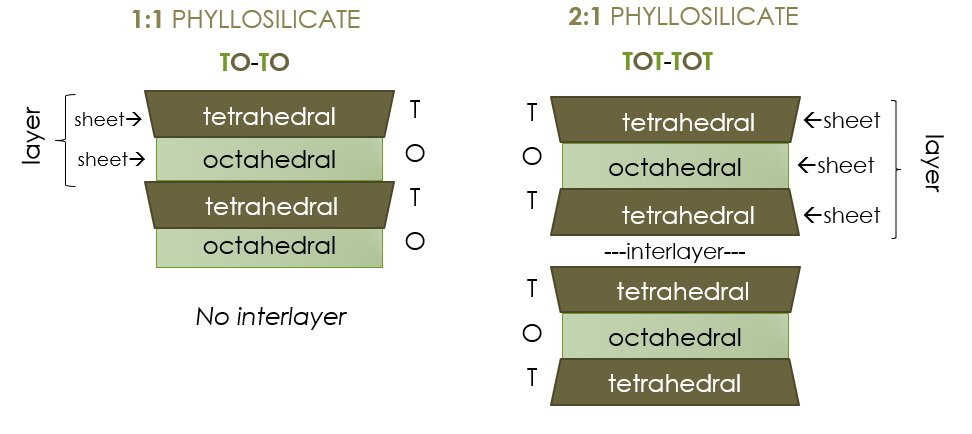 This figure has two 'stacks', the left representing a 1 to 1 phyllosilicate with the right representing a 1 to 1 phyllosilicate. The left, or one to one, shows alternating darker (tetrahedral) and lighter green (octahedral) layers, with the dark green overhanging the octahedral layer. There is no space between them, as there is no interlayer. The right shows two sets each of octahedral (light green) between two octahedral (dark green) layers, with the wider tetrahedral layers overhanging the octahedral sheets. In between each of the sets is an interlayer.