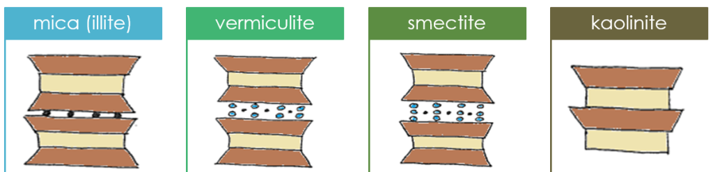 diagram showing mica, vermiculite, smectite and kaolinite's simplified structures