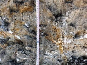 Dull gray soil dominates most of the picture, with some highly contrasting red iron concentrations and few white calcium carbonate spots. Tape measure runs down the soil, indicating depths from 113 to 144 cm.