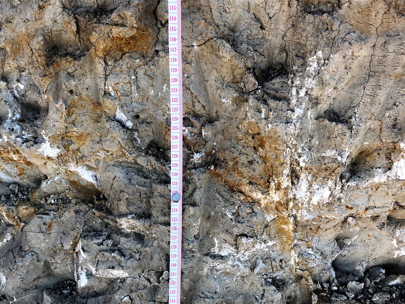 Soil Redox Processes – Introduction to Soil Science