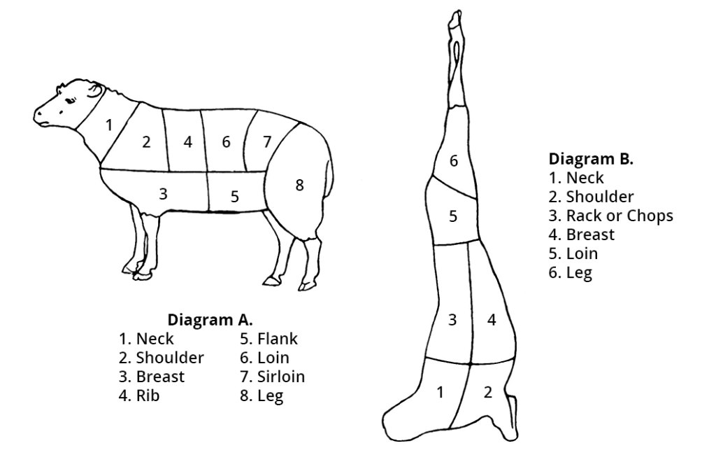 Illustration of the cuts of meat on a sheep or lamb, with a closer diagram of the meat on the leg.