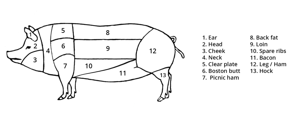 Illustration of the cuts of meat on a pig.