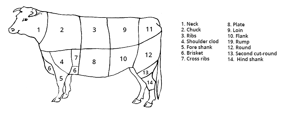 Illustration of the cuts of beef on a cow.