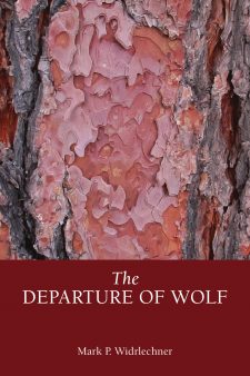 The Departure of Wolf book cover