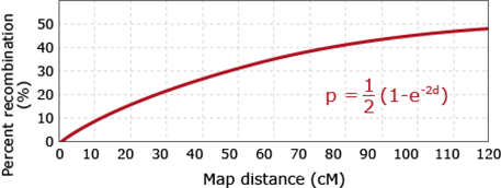 Line graph where the percent recombination rises over a map's distance in cM. A formula (p = 1/2 times 1 minus e to the negative 2d) is presented.
