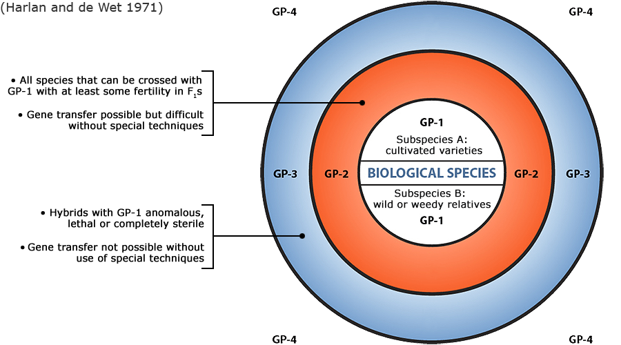 Gene pool concept, visualized as a series of concentric circles. The exterior circle, GP3, includes hybrids with GP1 anomalous, completely sterile or lethal. The next circle in, GP2, can cross with GP1 with some fertility, though it is difficult. The center is GP1, a biological species and subspecies (cultivated or wild relatives).