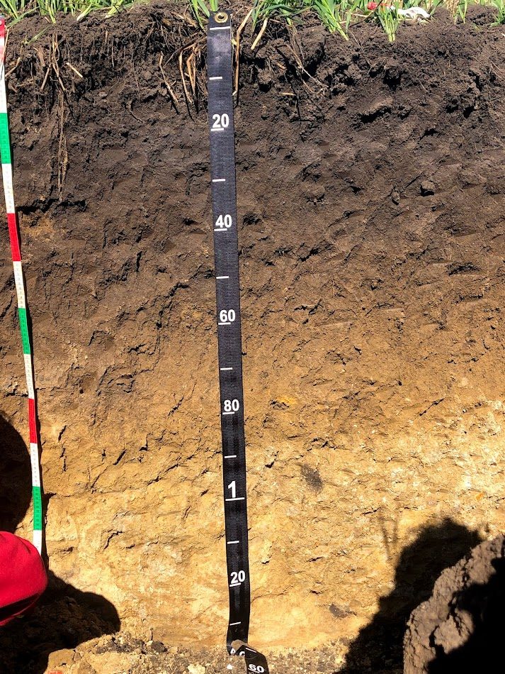 Cover image for Soil Judging in Iowa