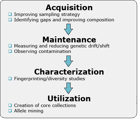 Flow chart from acquisition to maintenance, characterization, and finally utilization.