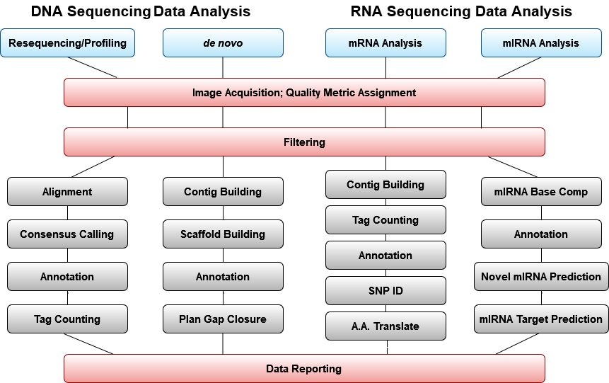 DNA and RNA sequencing analysis processes, visualized in a flow chart. Both go through image aquisition, quality metric assignment, filtering, and data reporting. The specific steps in the middle vary in order and amount.