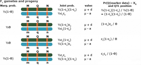 table with visualizations and formulas in interval mapping