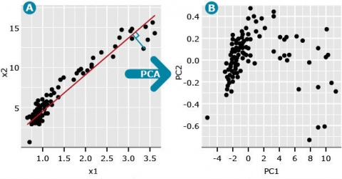 Two scatter plots, A shows a clear line of data. an arrow labeled PCA points to scatterplot B, which has more spread out data points.