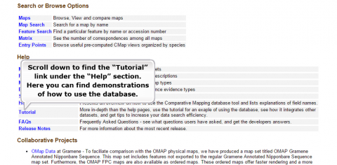 Screenshot of Gramene with a label reading "Scroll down to find the tutorial link under the help section. Here you can find demonstrations of how to use the database."