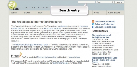 Screenshot of the TAIR database, with the search bar labeled on the top right of the screen.
