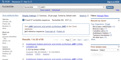 Screenshot of NCBI interface. After searching for JAR1, a popup box appears suggesting the gene database entry.