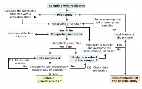 Flowchart of genotyping from sampling with replicates to reliable genetic results.