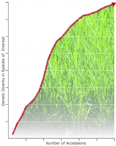 Area graph showing genetic diversity by number of successions. A steep rise is shown in the graph.