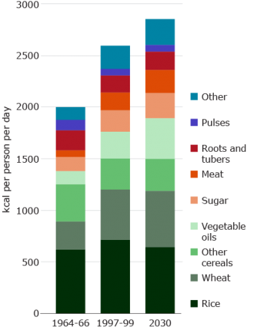 Layered bar chart of food production from 1964-66, 1997-99, and 2023, estimated. General growth across all areas.