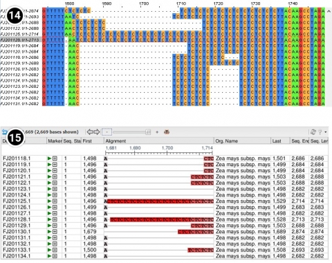 Screenshot of results comparing NCBI-BLAST and Jalview sequence alignment results.