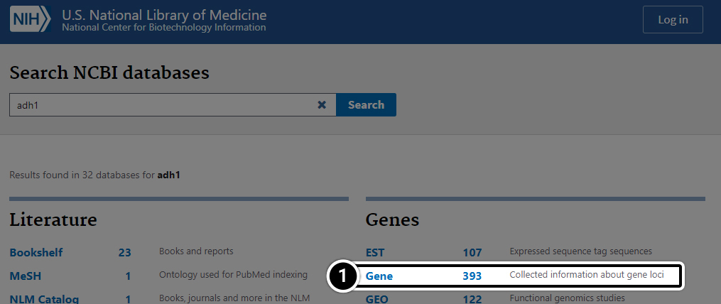 Search results with the word "Gene" highlighted.
