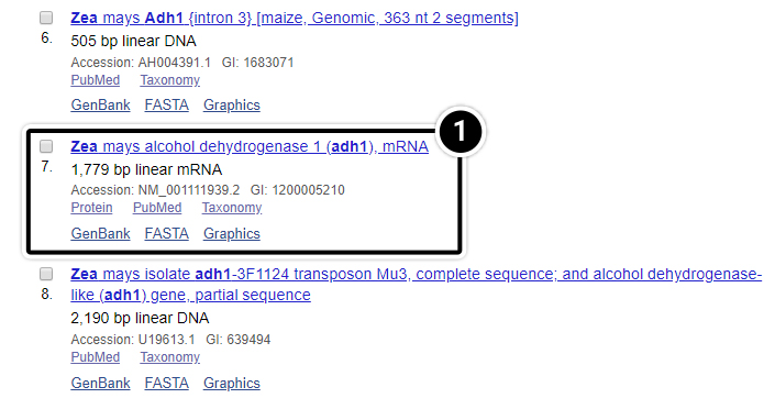 Screenshot of search results in NCBI databases, with one result highlighted, for adh1.