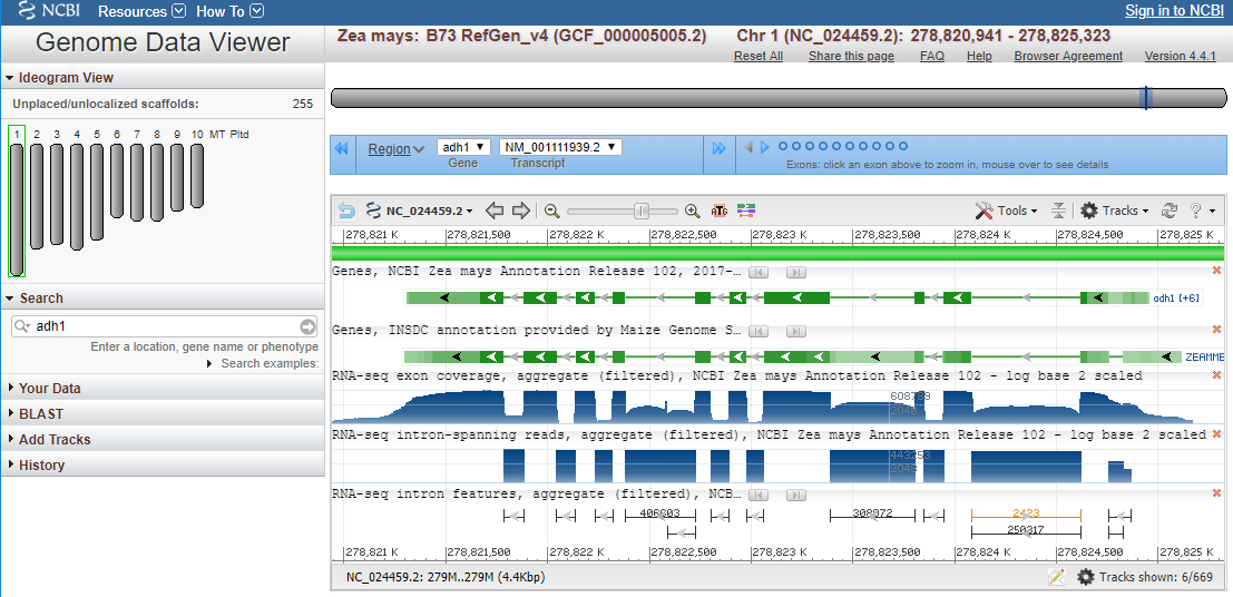Screenshot of Genome data viewer page with results for previous search. Multiple graphs and visualizations are provided of genes.