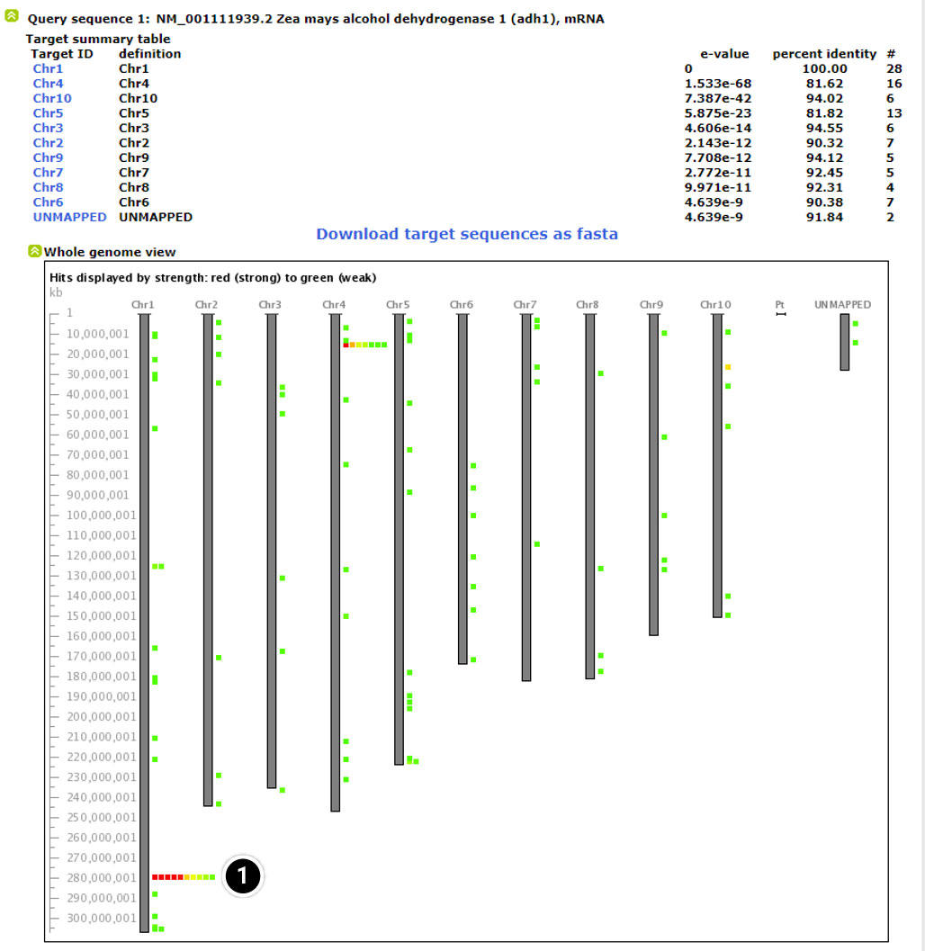 Screenshot of MaizeGDB Genome Browser whole genome view results from above.