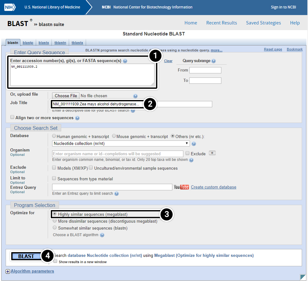 Screenshot of blastn query using accession number.
