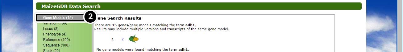 Screenshot of the maize gdb data search with gene models highlighted.