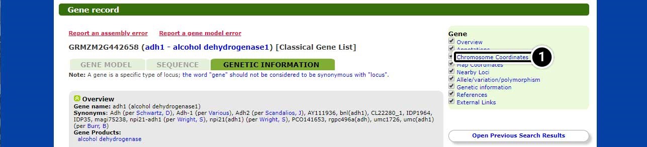 Screenshot of the maize gdb data search with genetic information and chromosome coordinates highlighted in the search results.