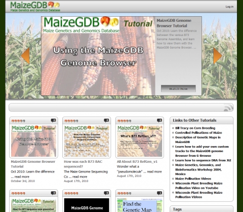 Screenshot of maizegdb tutorials page with listed videos.