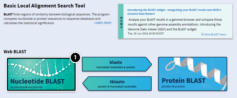 Screenshot of Blast homepage with Nucleotide Blast button highlighted.