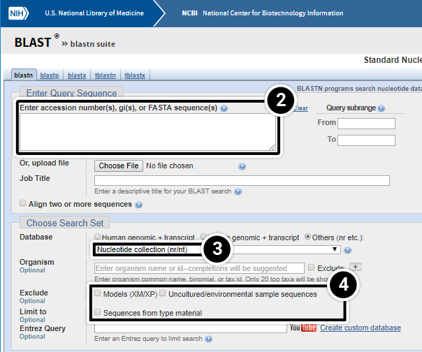 Screenshot of BLAST Search interface under the blastn tab, with the "enter query sequence" box highlighted.