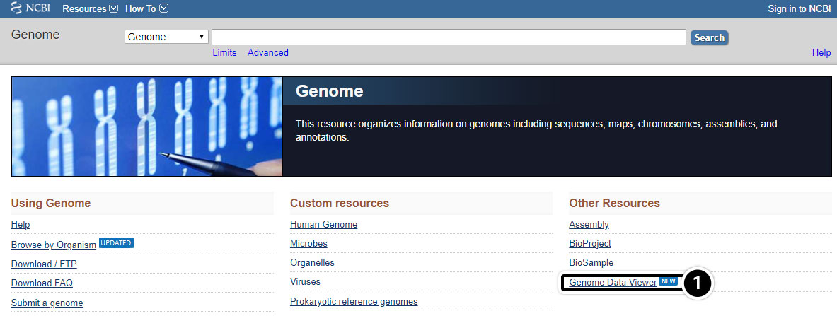 Screenshot of Genome page on NCBI.