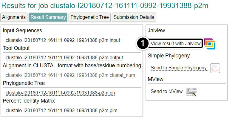 Screenshot of results from above. View result with Jalview is highlighted.