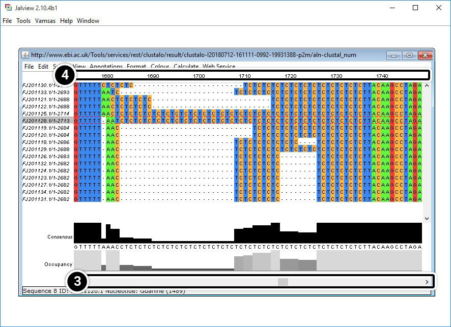 Screenshot of sequence alignments results from Jalview query.
