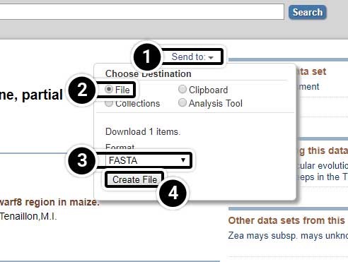 Screenshot of steps to create FASTA files from all PopSets from above