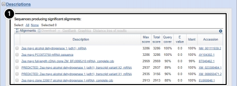 Screenshot of BLAST results page with descriptions expanded, showing a table with links to sequences producing significant alignments.