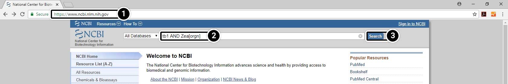 Screenshot of NCBI page