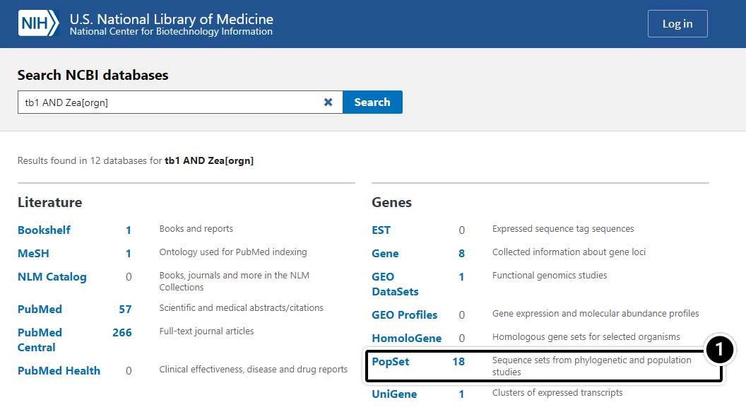 Screenshot of U.S. National Library of Medicine. Search results for tb1 gene include 18 PopSet
