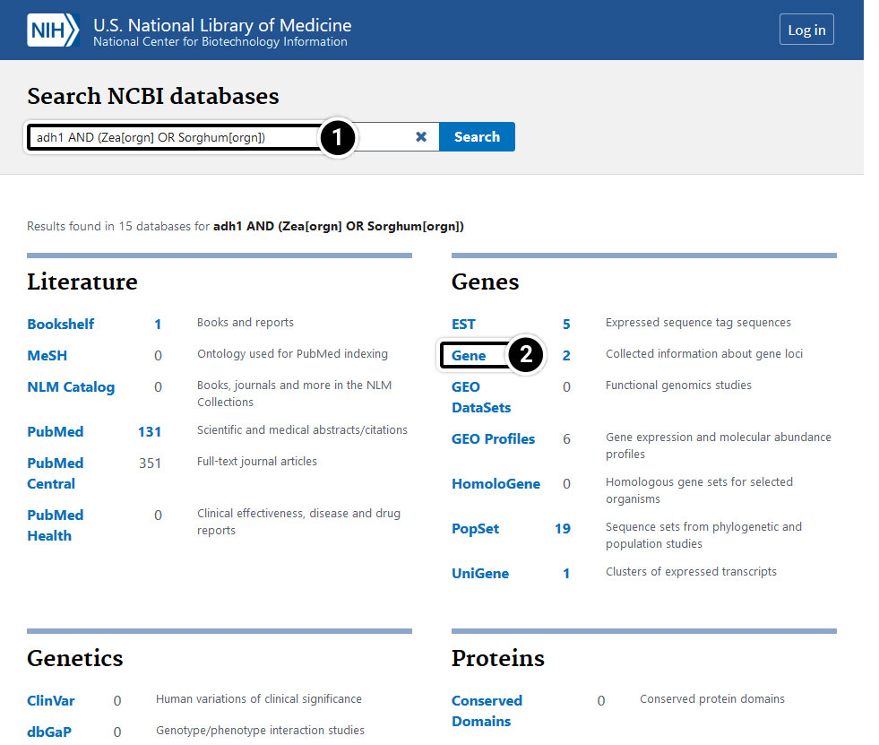 Screenshot of search in NCBI databases as described above.