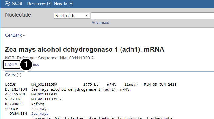 Screenshot of search in NCBI databases, with the link for FASTA highlighted.