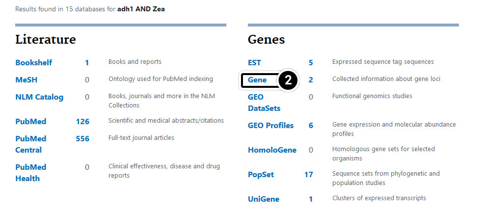 Search results for adh1 and Zea. There are two gene results.