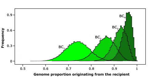 bell curve distribution