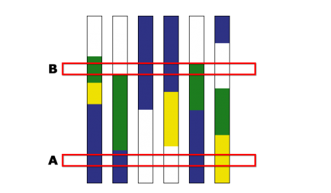 Chromosome haplotypes