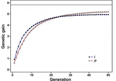 A line graph with two lines, largely the same, though P starts lower and then overtakes I.