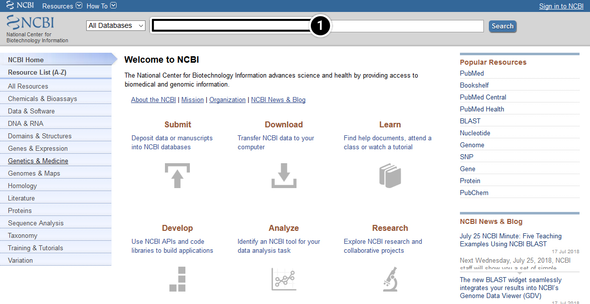 NCBI database screenshot.