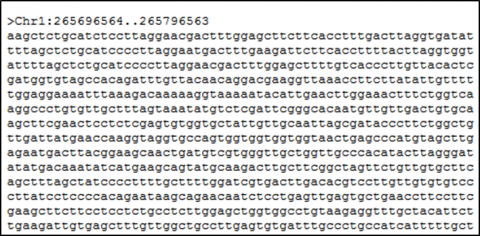 Screenshot of plain text chromosome sequence.