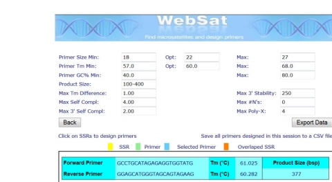 Screenshot of Websat interface various filters and parameters set.